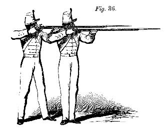 Fig. 36. Aim.